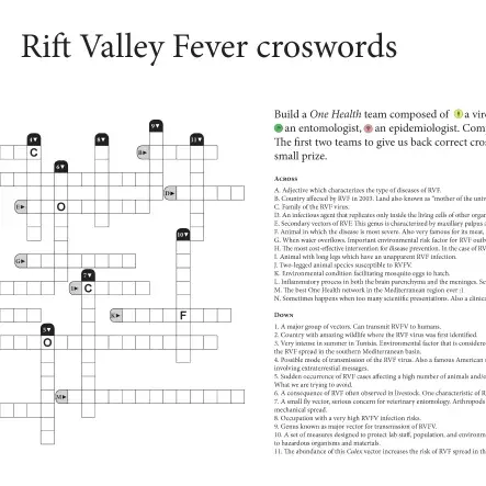 crosswords_rvf